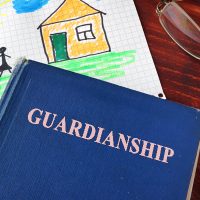 Guardianship3 Guardianship3
